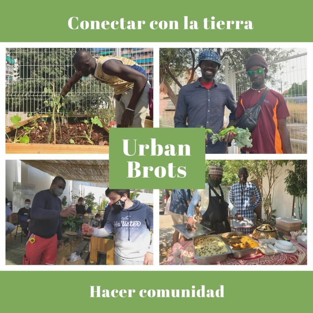 Urban Brots: conectar con la tierra, hacer comunidad