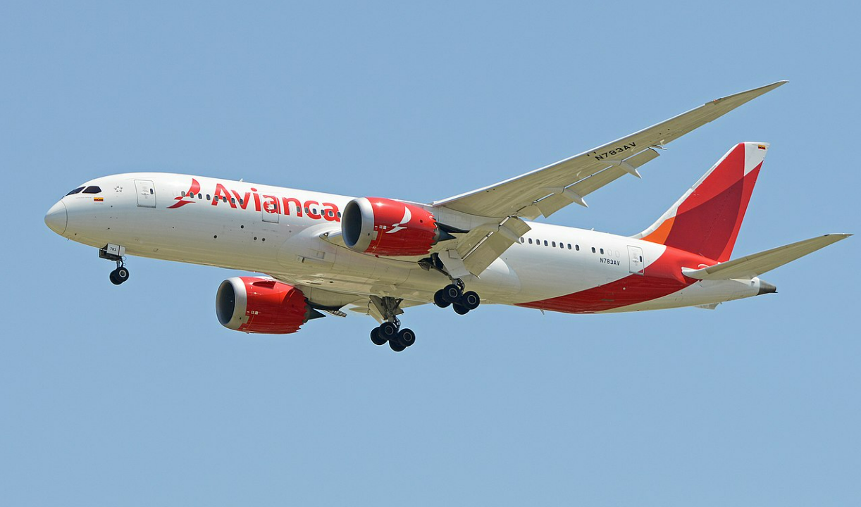 Un vuelo de la aerolínea Avianca regresa a Madrid para salvar a los perros que viajaban en la bodega