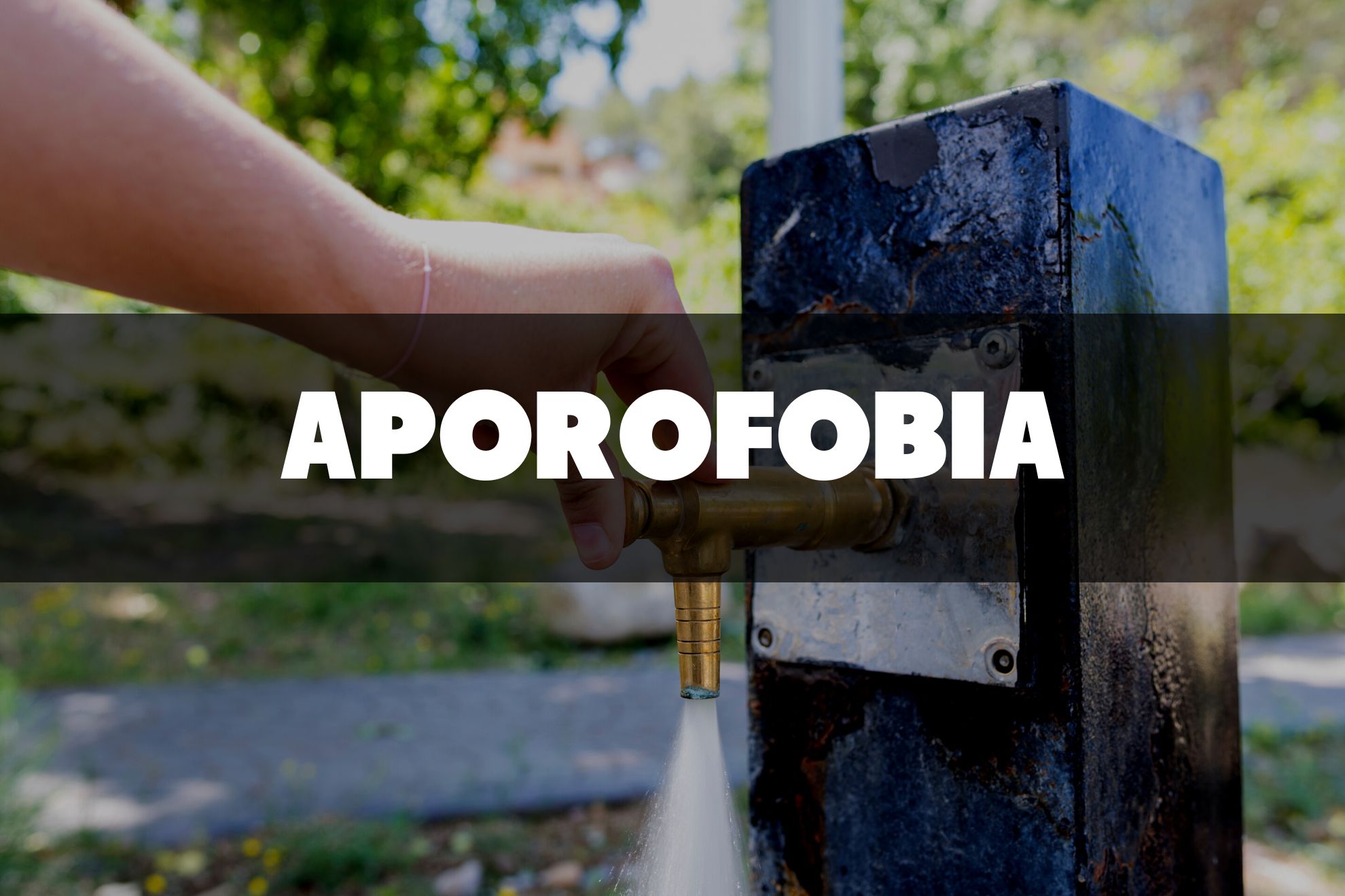 Aporofobia. Un concejal del PP asegura que las fuentes públicas para beber “atraen a indigentes”
