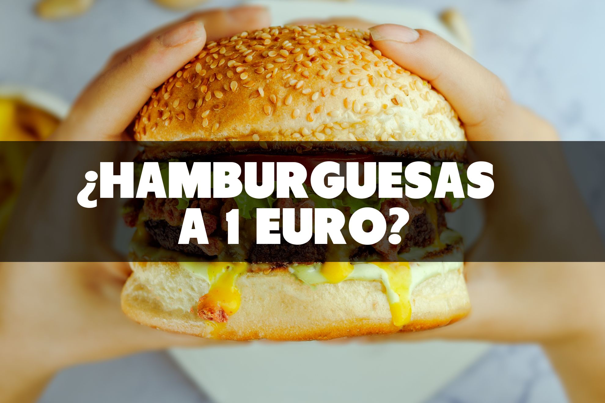 ¿Quién paga el precio de una hamburguesa de un euro?