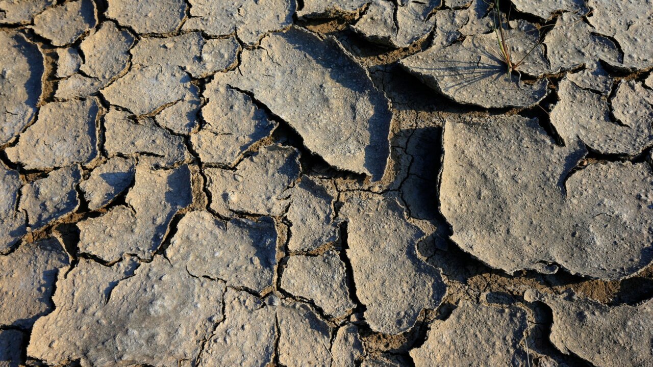 El futuro climático de España: desde eventos meteorológicos extremos a la pérdida de biodiversidad