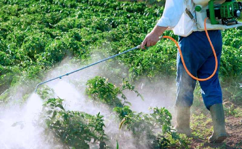 Absoluta negligencia: 161 pueblos en Salamanca y Zamora no pueden beber agua del grifo por el exceso de plaguicidas