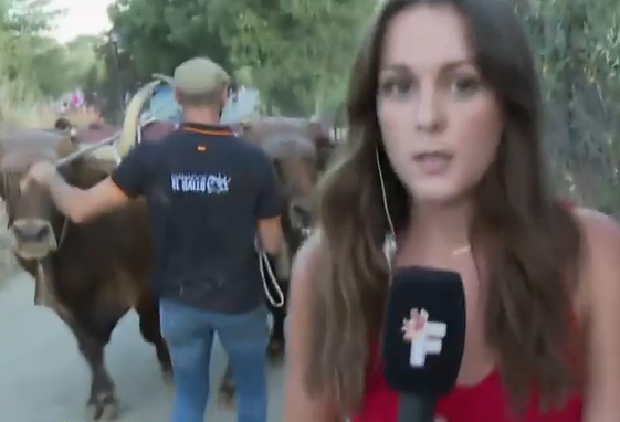 Atacan a una reportera una localidad madrileña que intentaba cubrir un evento taurino con menores