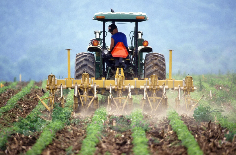 Fraude agrícola en los Países Bajos: la estrategia de los agricultores para obtener ayudas europeas