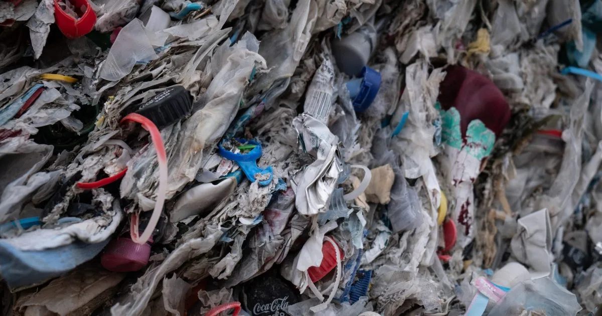 Greenpeace denuncia manipulación de Ecoembes en las cifras de reciclaje: solo se realiza con el 39,6% de los envases