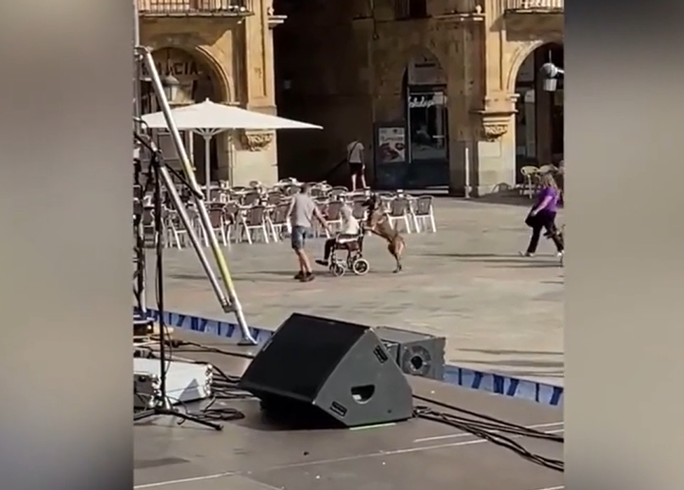 La emotiva escena capturada por Arde Bogotá: un perro empuja la silla de ruedas de una señora en Salamanca