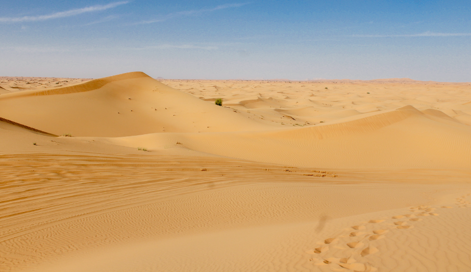 La revolución agrícola en el desierto: Dubai solicita la ayuda de España