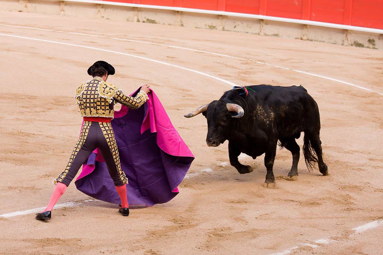 Un movimiento ciudadano busca poner fin al estatus de la tauromaquia como patrimonio cultural en España