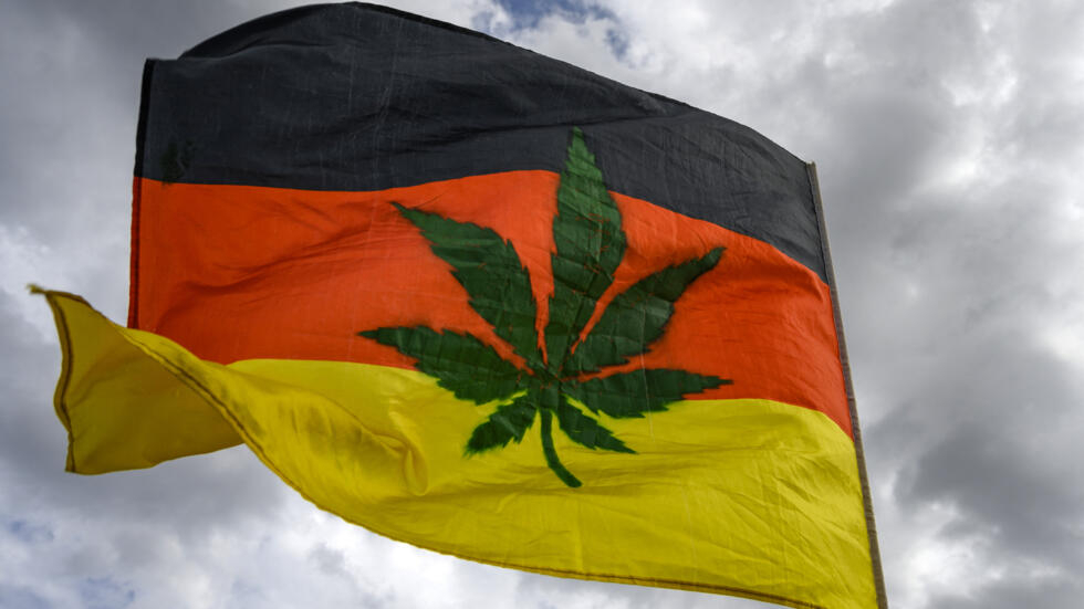 Alemania da luz verde al uso recreativo del cannabis: adultos podrán portar 25g en público y cultivar hasta tres plantas en casa